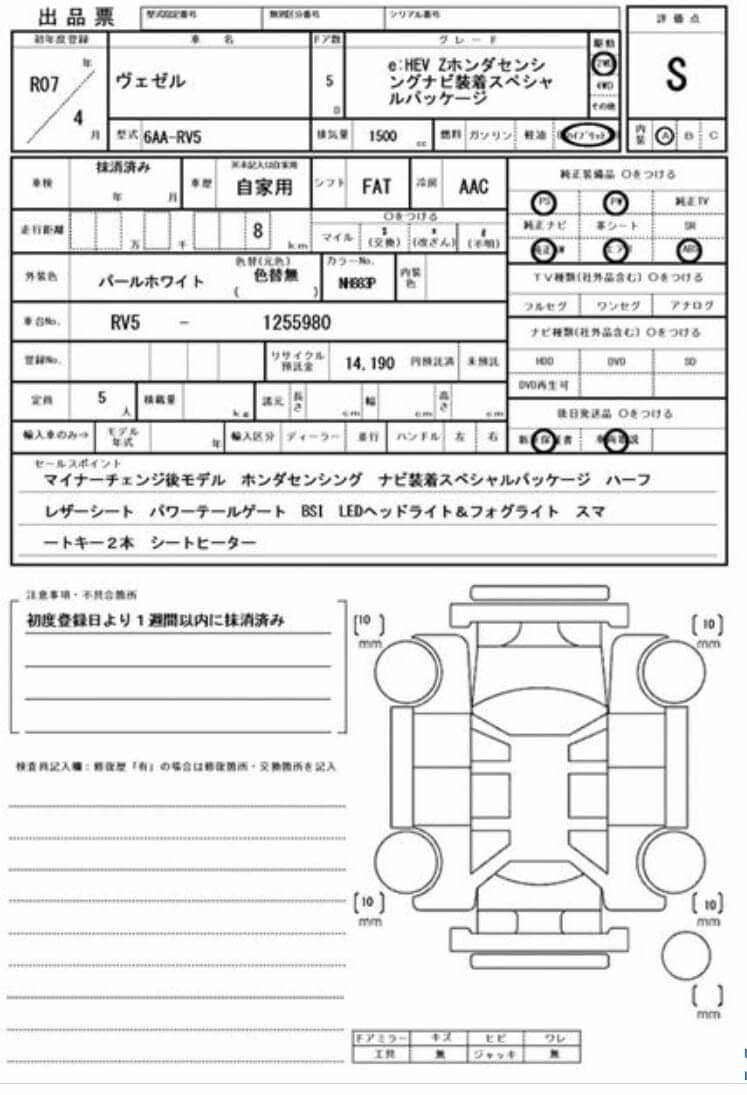 Option Certificate